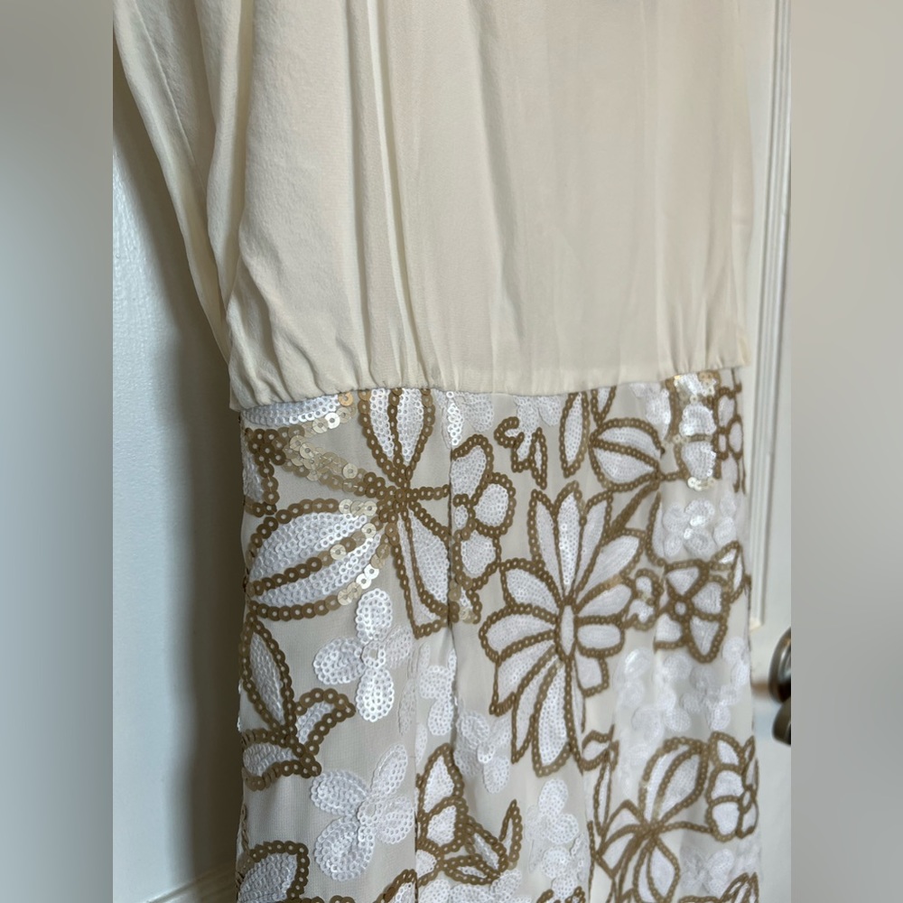 Silk and Sequins Dress